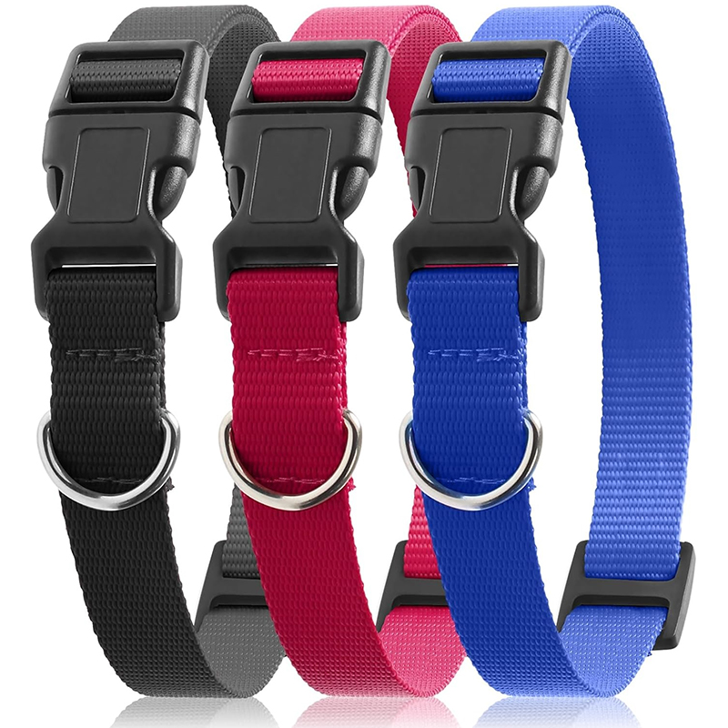 D Ring Strap - Correa de Repuesto para Collar de
